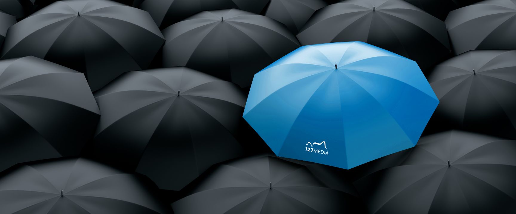 Services, 127 Media, WordPress Specialists I Hosting & Web Services, Southport, UK