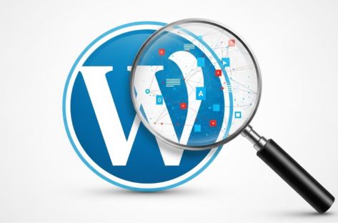 An image of a WordPress logo and a magnifying glass, to accompany an article titled "An In-depth Analysis of the WordPress Platform."