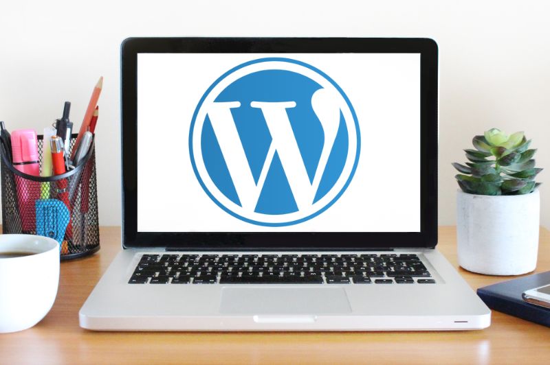 127 Media WordPress Expertise
